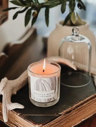 Wildwood Candle - Vanilla Bean + Caramel